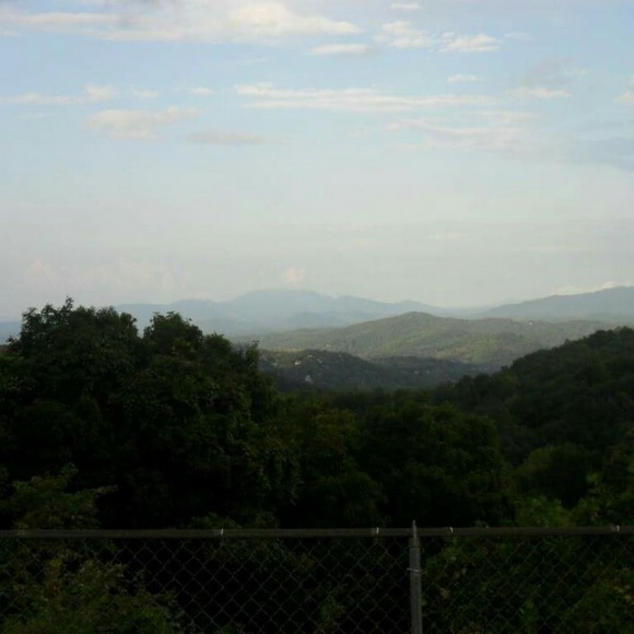 Meet your Posher, Tami - Picture 1 of 2